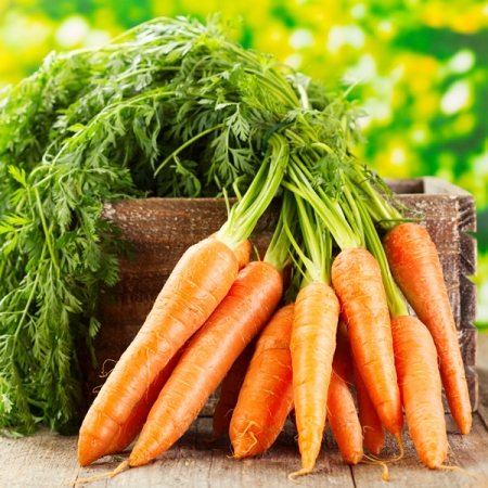 Legume - Morcov Flakkee 100GR