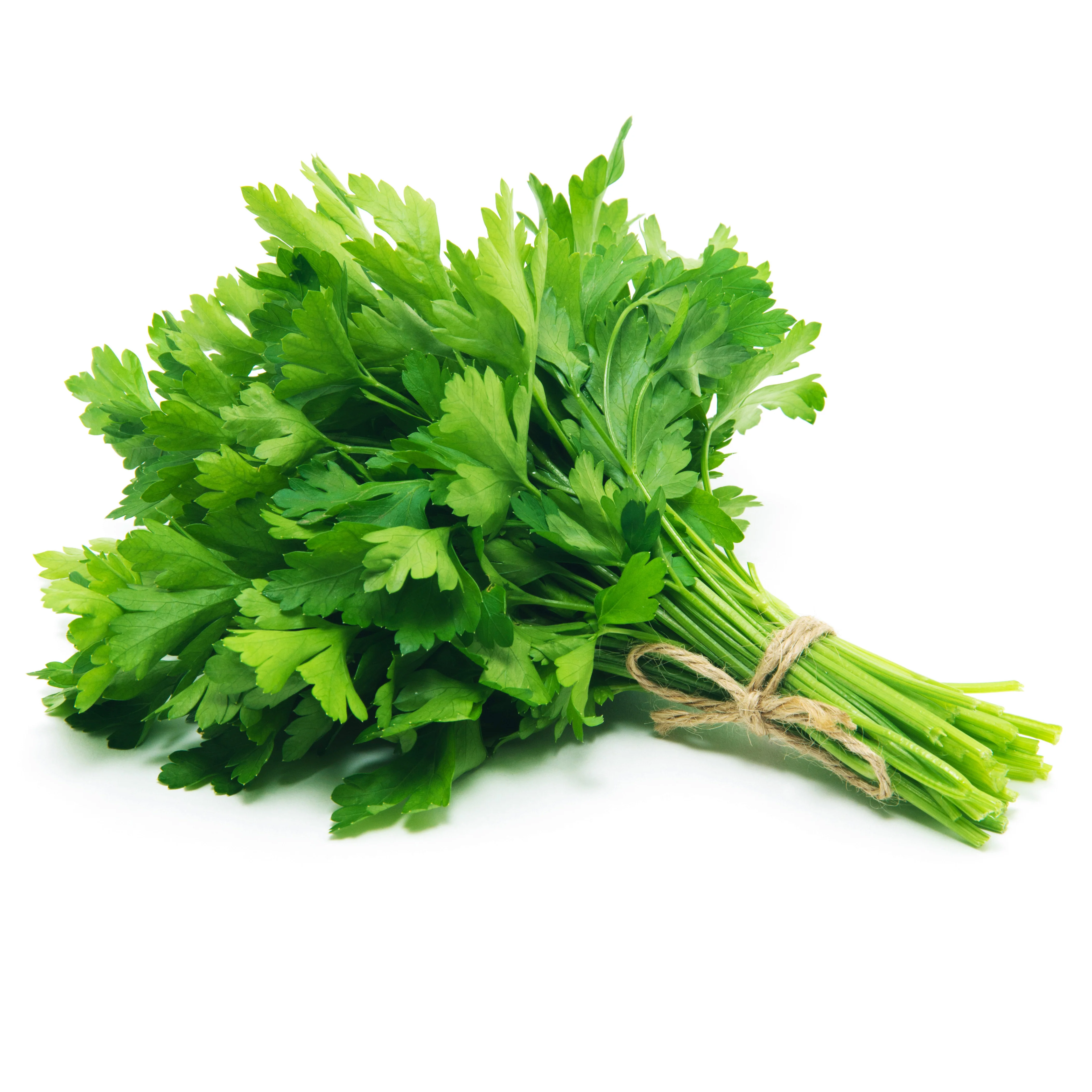 Legume - Patrunjel Sementis 5GR