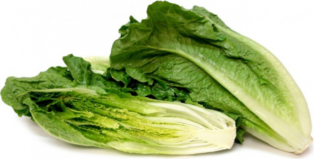 SEMINTE - Salata Romana-Red Romaine 2 GR