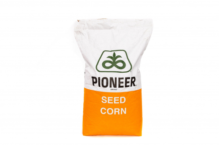 Cereale - Seminte de Porumb P0900 - 80,000 boabe