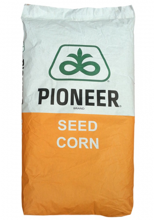 Cereale - Seminte de Porumb P9074 - 80,000 boabe Pioner