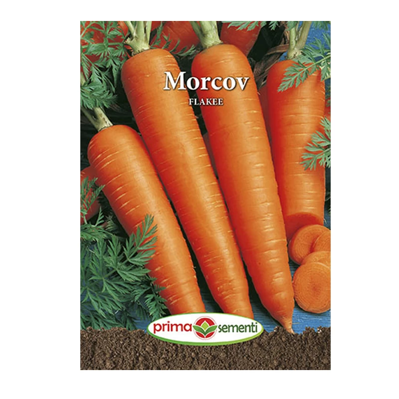 Legume - Seminte morcov Flakkee 5GR