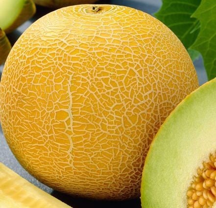 Legume - Seminte Pepene Galben Muskotaly 2gr