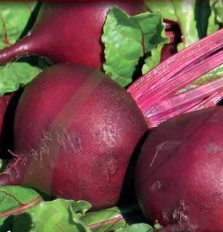 Legume - Seminte Sfelcă Roșie Rubin 4gr