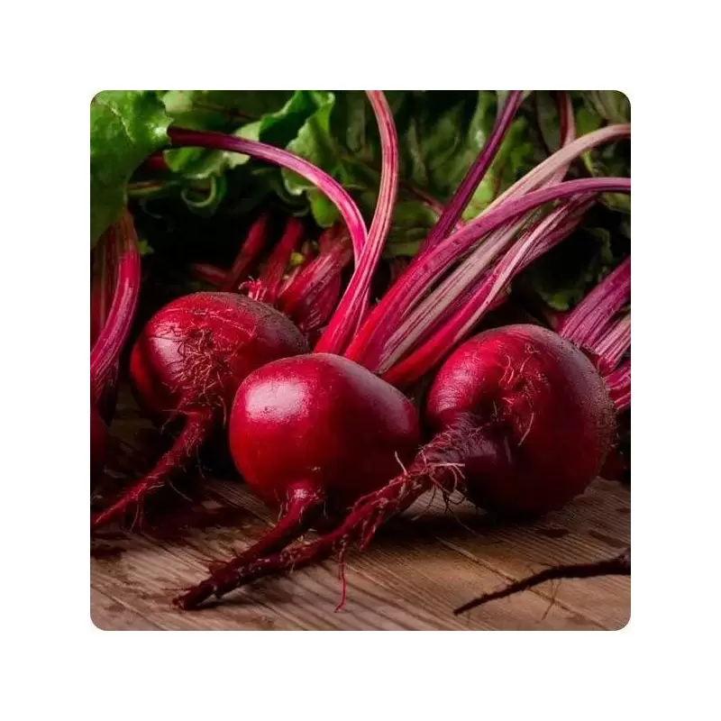 Legume - Sfecla rosie Detroit 4GR