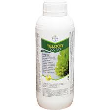FUNGICIDE - Teldor 500SC -1L