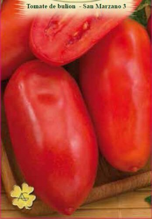 ALTE SEMINTE - Tomate Giant San Marz.2 0.5GR