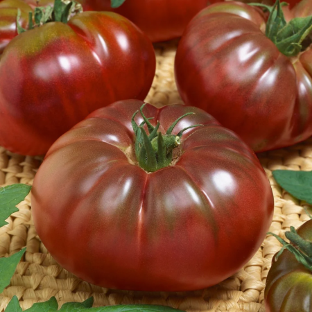 ALTE SEMINTE - Tomate Negre Russian Black 0.2GR