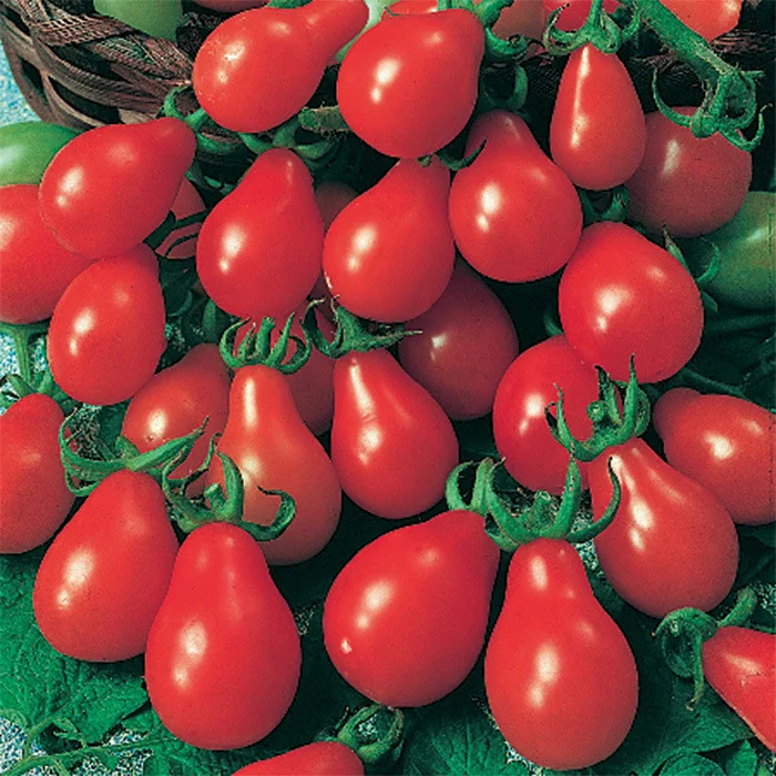 Legume - Tomate Radana 0.3GR