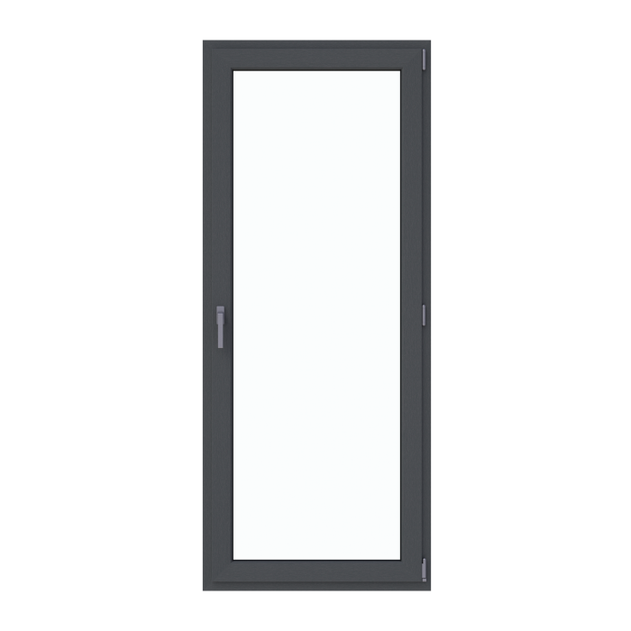 Ușă de intrare 900/2100 [1]