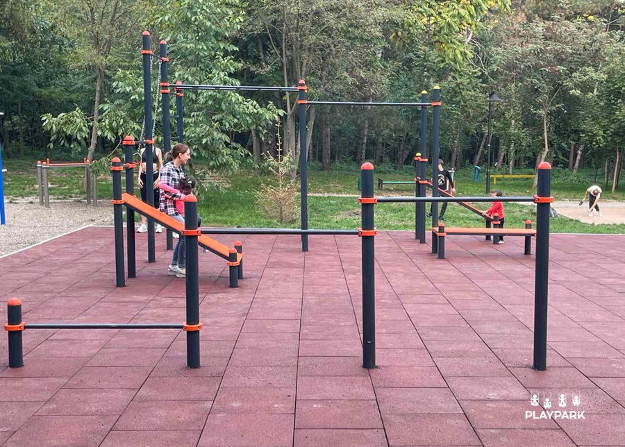 Complex sportiv Workout KIDS C-300 pentru copii, cu leagăne, panou de escaladă, frânghie și bare [5]