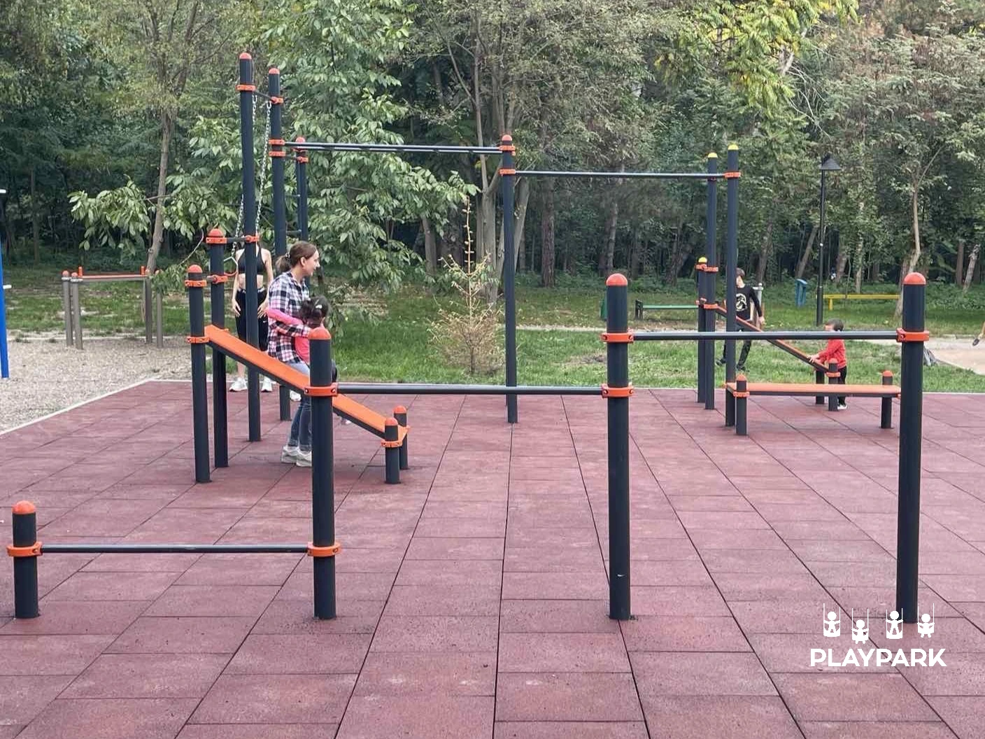 Детский спортивный комплекс Workout KIDS C-103 с рукоходом, качелями, турниками и сеткой для лазания [3]