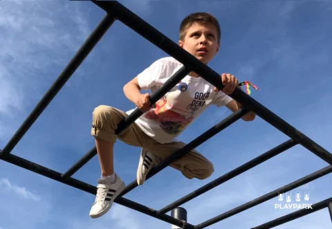 Детский спортивный комплекс Workout KIDS C-103 с рукоходом, качелями, турниками и сеткой для лазания [4]