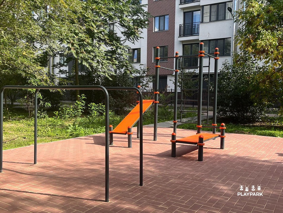 Спортивный комплекс WORKOUT C-030 [3]