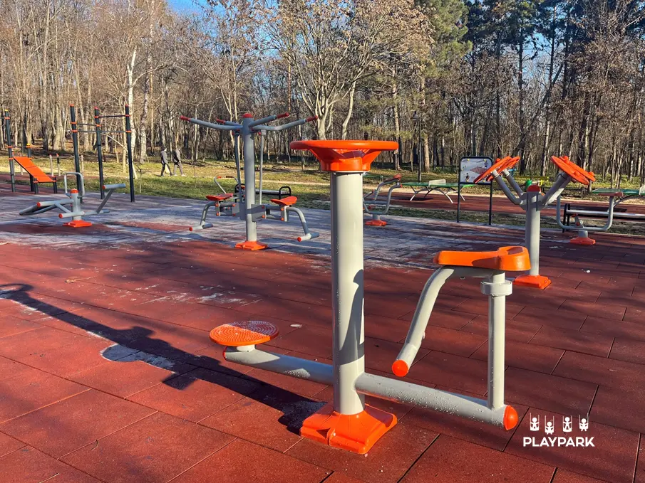 Aparat fitness "Step+Bicicleta" in exterior B-19 [2]