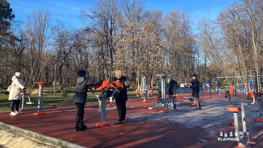 Aparat Fitness "Air WALKER" И-13 in exterior [2]