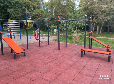 Спортивный комплекс WORKOUT C-021 [1]