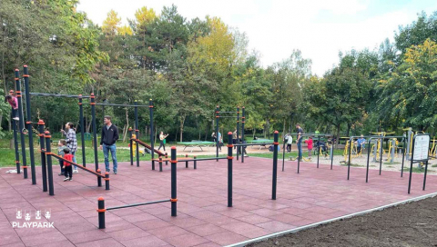 Спортивный комплекс WORKOUT C-030 [1]