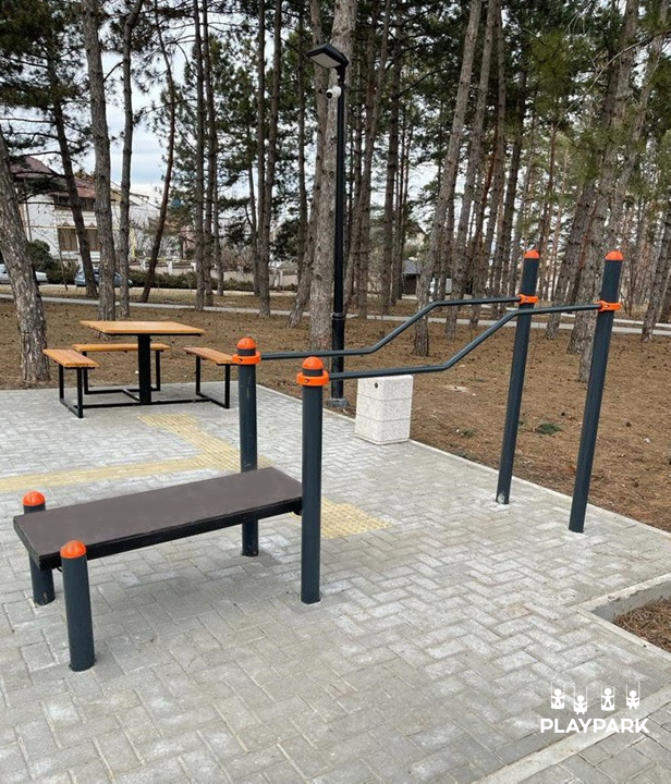 Masa p/u persoane cu Dizabilitati PD-05 [1]