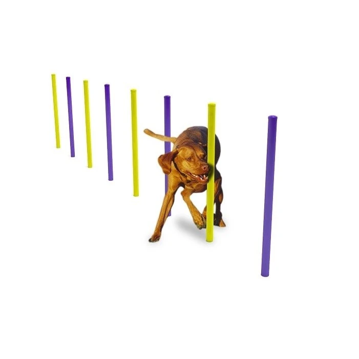 Complexe de Joaca - Obstacol "Salom" DD-103