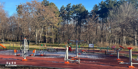 Aparat fitness "SCHIOR dublu" B-08 in exterior [2]