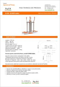 Aparat fitness "SCHIOR dublu" B-08 in exterior [1]