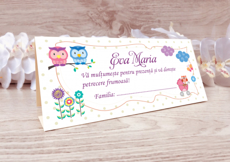 Plicuri bani botez - plicuri bani botez bufnite