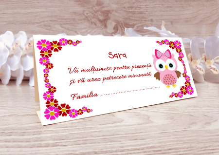 Plicuri bani botez - plicuri bani botez Bufnita Roz