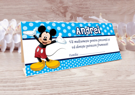 Plicuri bani botez - plicuri bani botez Mickey