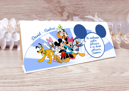 Plicuri bani botez - plicuri bani botez Mickey