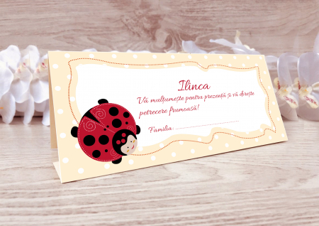Plicuri bani botez - plicuri bani botez Buburuza