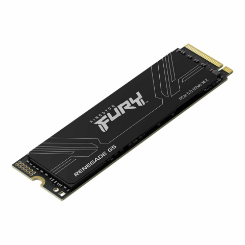 Desktop PC & Componente - KINGSTON 4096GB FURY Renegade G5 PCIe 5.0 M.2 NVMe SSD