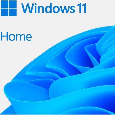 Software - Microsoft WIN HOME 11 64-bit All Languages Online Product Key License 1 License Downloadable ESD NR