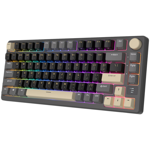ROYAL KLUDGE RK-M75 Phantom Gaming Keyboard K Silver switch [1]