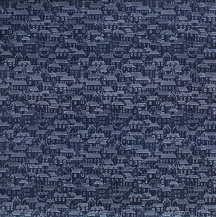 Luna Nova+ Casute Albastre [3]