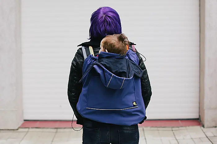 Protectie de iarna Albastru [4]