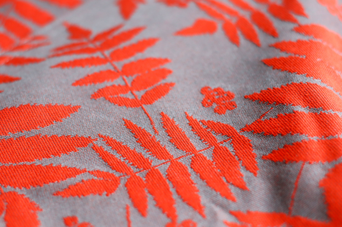 Protectii bretele poarta-ma! EL Corai [1]