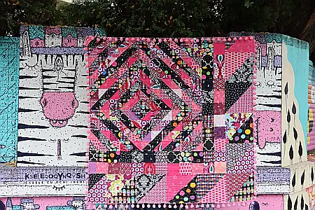 Roza Clasica Ciucurel [2]