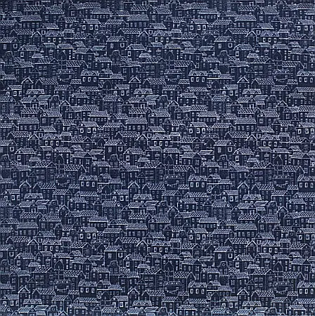 Luna Nova+ Casute Albastre [2]