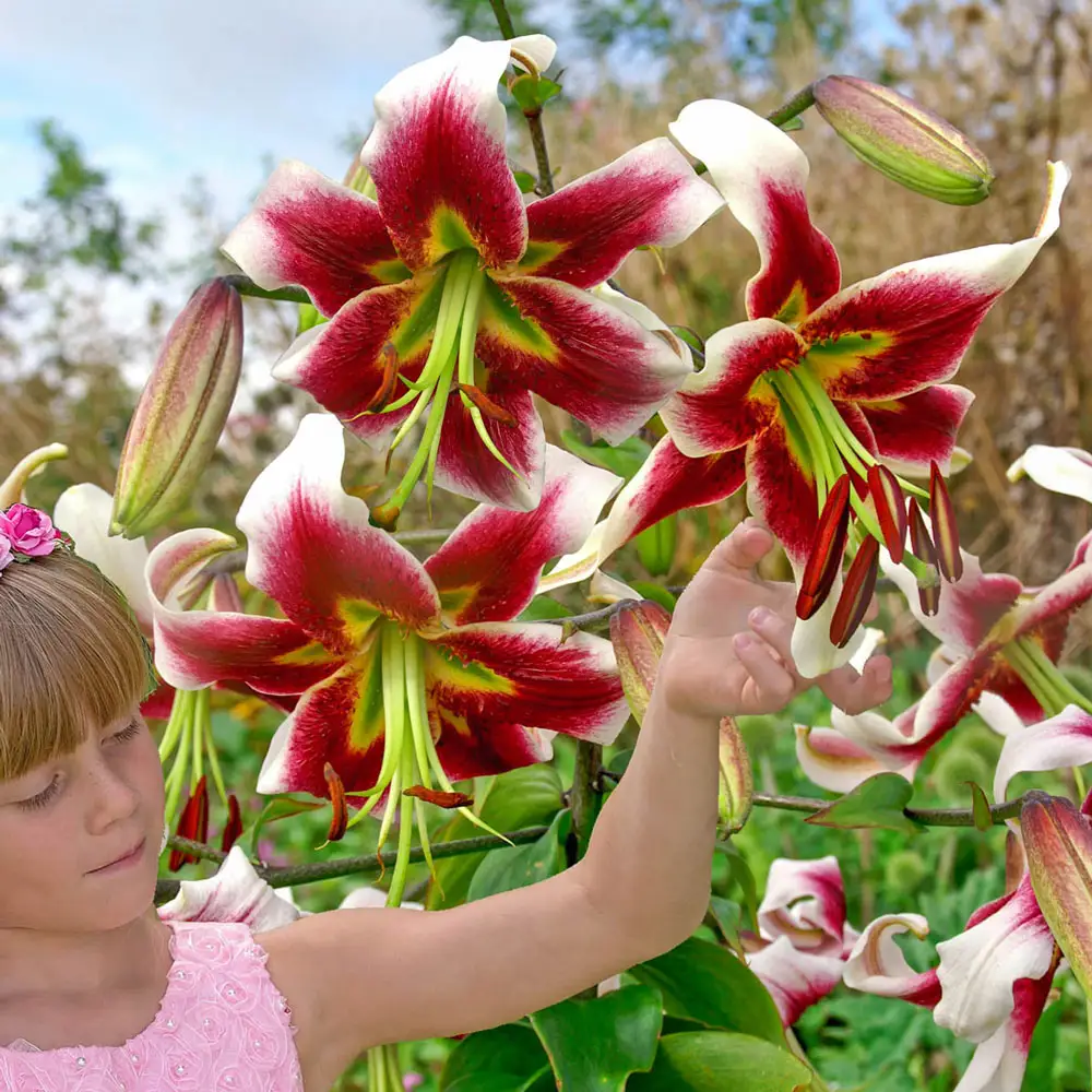 Crin OT Leslie Woodriff marime 16/18 [3]