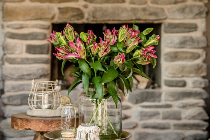 Crin OT Tropical Dragon marime 18/20 [5]