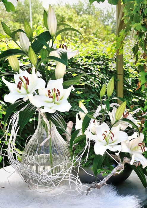 Crin OT Zambesi marime 20/22 [3]