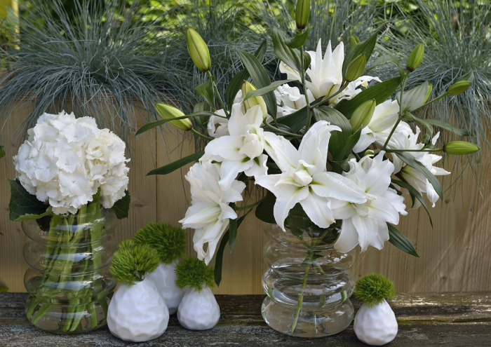 Crin dublu oriental, crin trandafir Ramona bulb 19/21 [3]