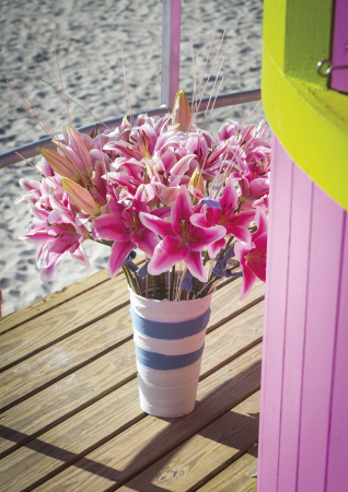 Crin oriental Starfighter rosu cu margini albe , parfumat, bulb mare 18/20 [1]