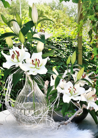 Crin OT Zambesi marime 20/22 [2]