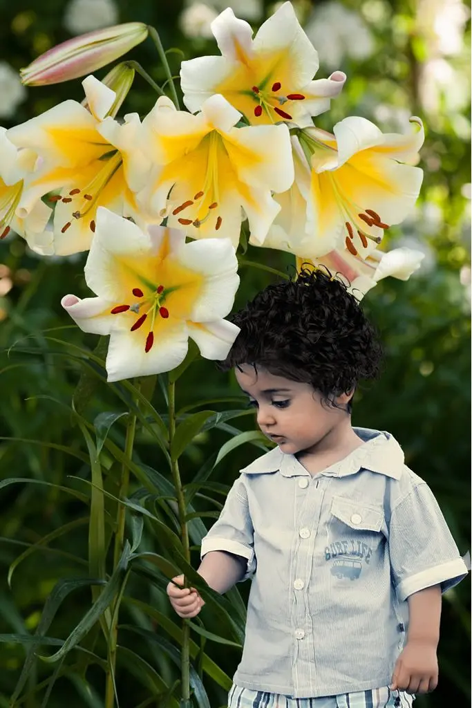 Crini - Crin OT, copac Miss Peculiar marime 18/20