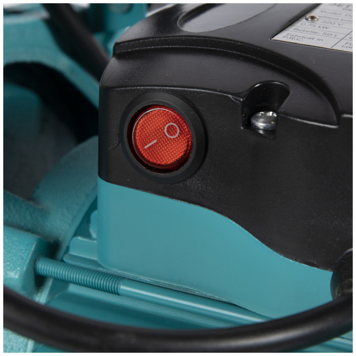 Hidrofor 0,75kW/1HP AUJET-100B 50L, debit 55l/min, refulare 45m [3]