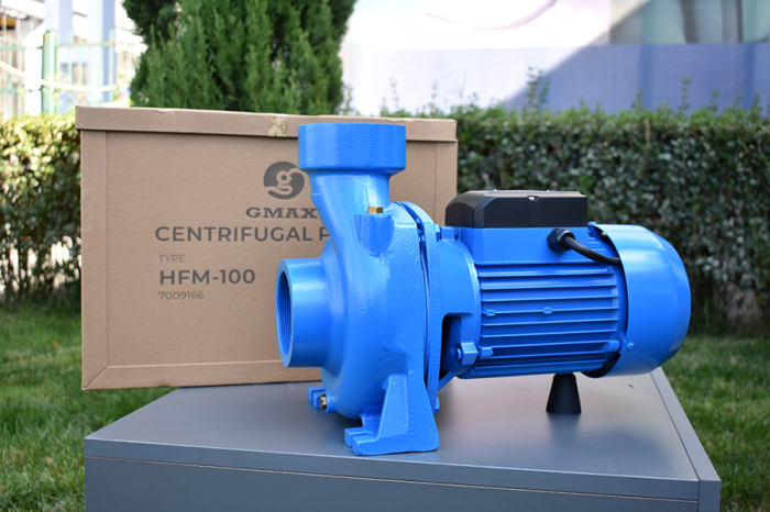Pompa de suprafata Gmax HFM-100, putere 3 kw, 3 toli, aspiratie de la 8 m, debit 60 m3/h [9]