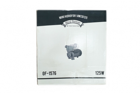 Minihidrofor, debit 2m3/ora, inaltime 22m, 0,37 KW [3]