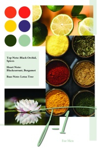 Noir D'Orchid by Patric (T-1) apa de parfum 50ml [6]